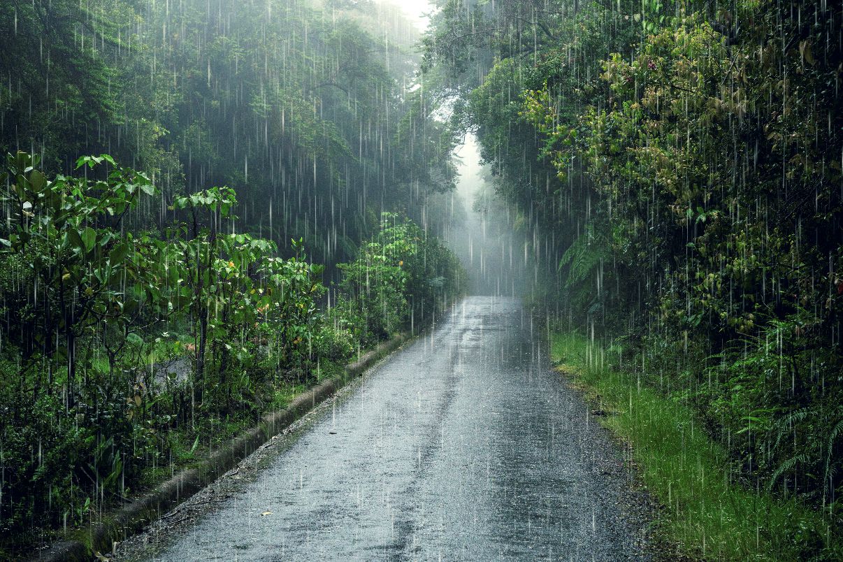 RAIN(DU)